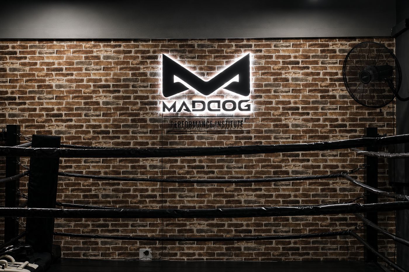 Maddog Performance Institute